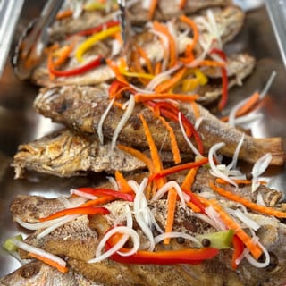Red Snapper